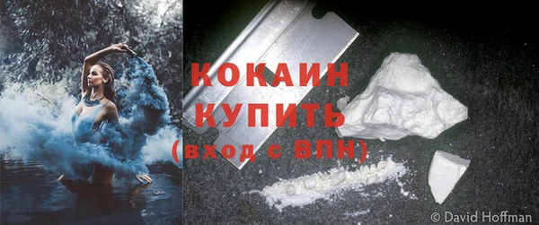 дмт Богородск