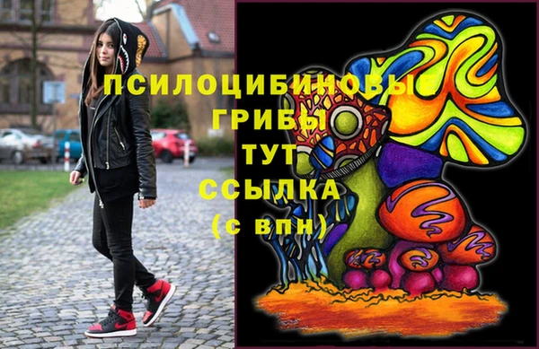 дмт Богородск