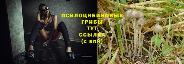 jwh Богданович
