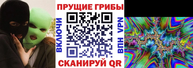 как найти наркотики  мега   Галлюциногенные грибы мухоморы  Находка 